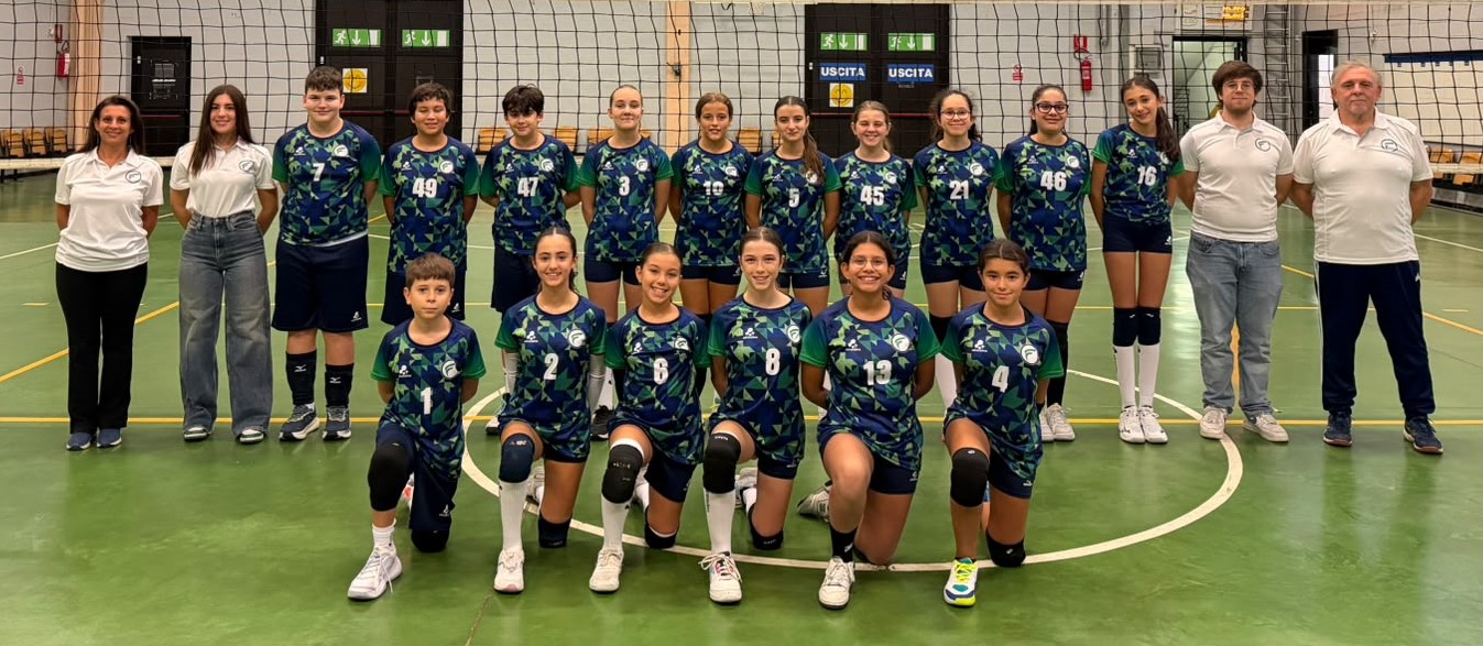 MINIVOLLEY